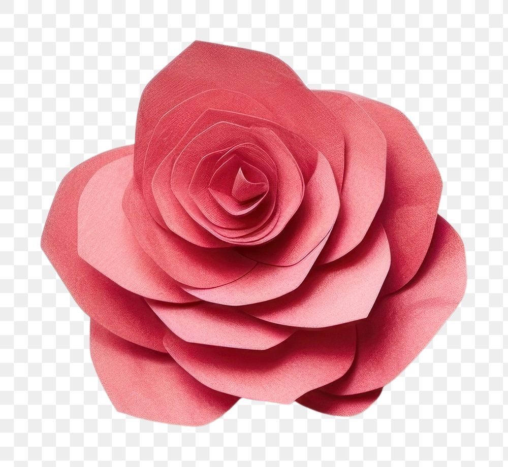 PNG Rose flower plant paper art. 