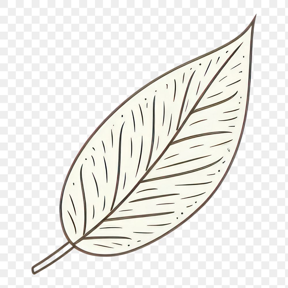 PNG Leaf drawing plant pattern. AI generated Image by rawpixel.