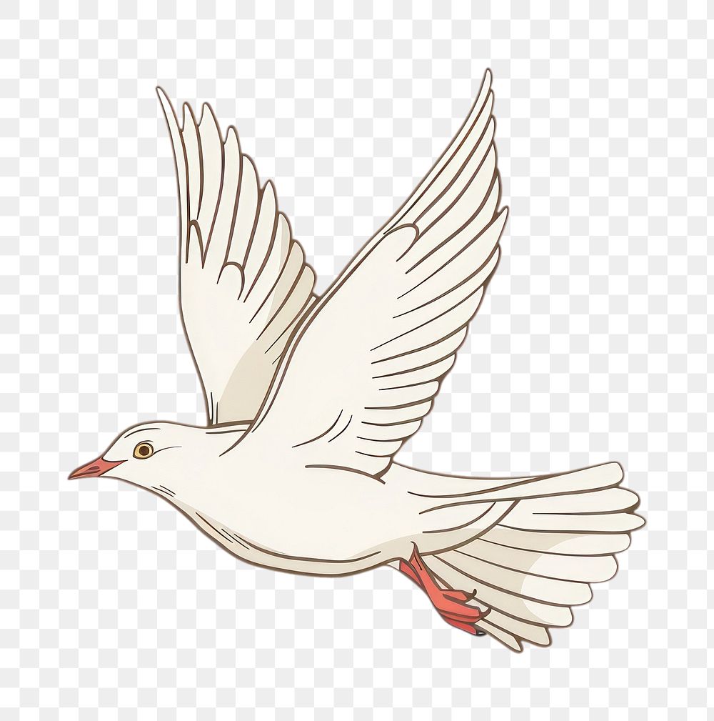 PNG Dove flying art waterfowl seagull.