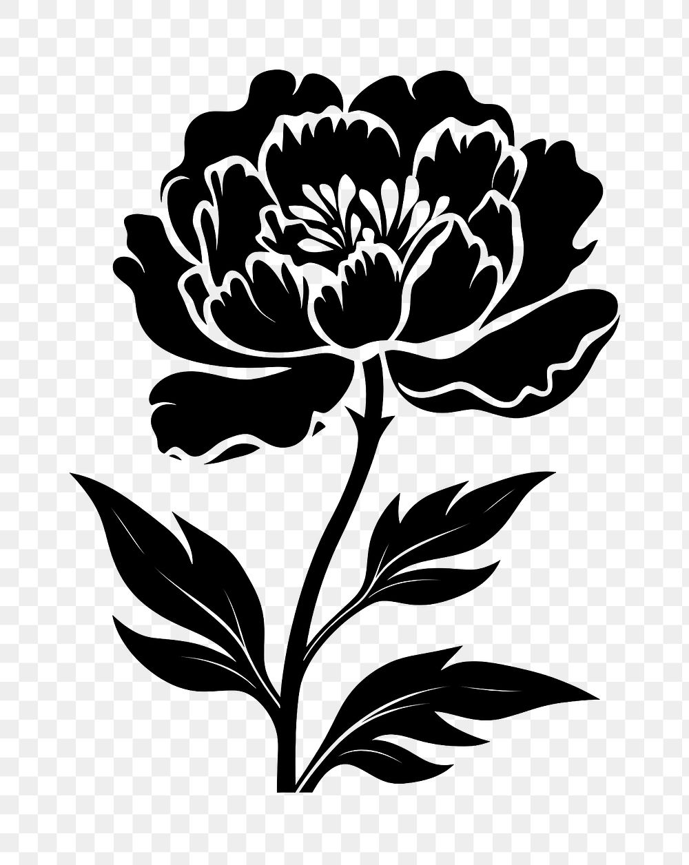 PNG Peony silhouette art graphics stencil.