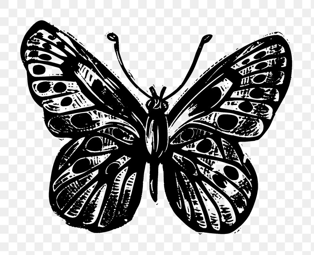 PNG Butterfly illustrated silhouette drawing.