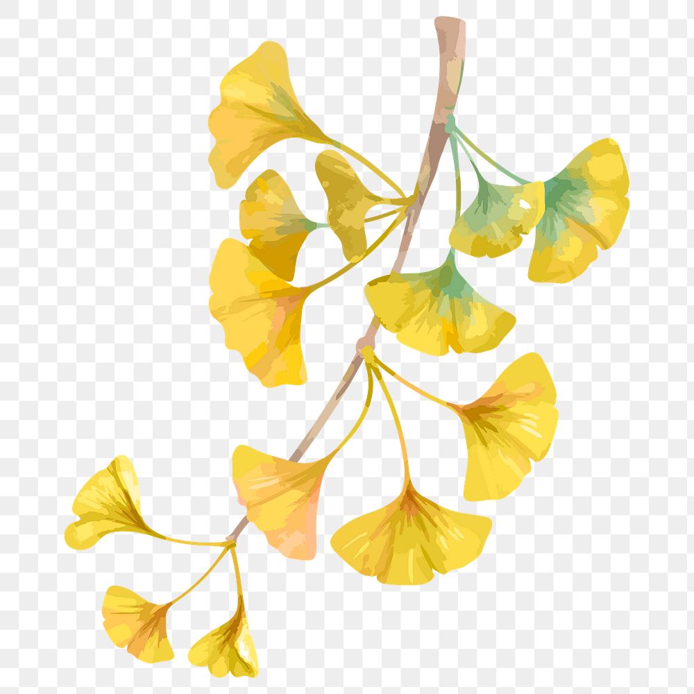 Ginkgo leaf sticker png, watercolor yellow graphic on transparent background