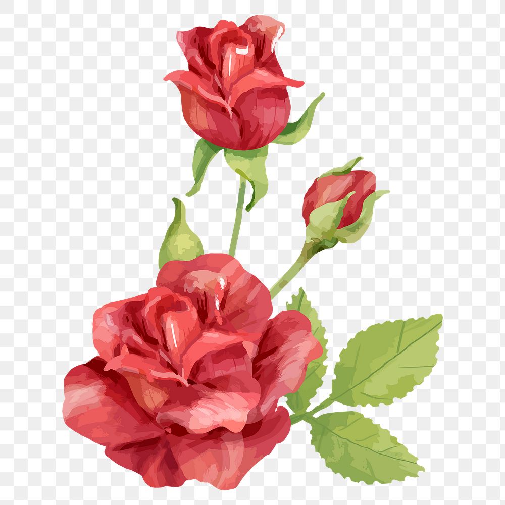 Rose sticker png on transparent background