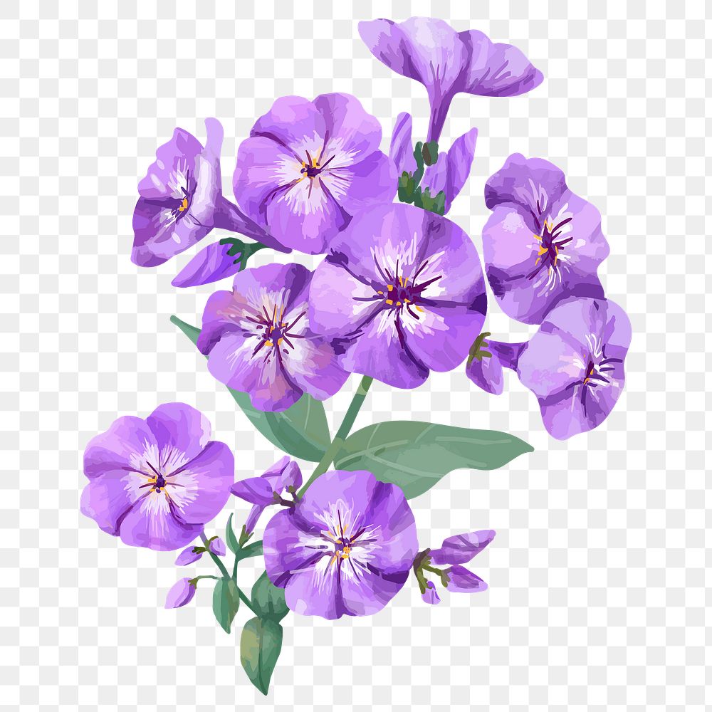 Purple flower sticker png, watercolor & botanical illustration, transparent background