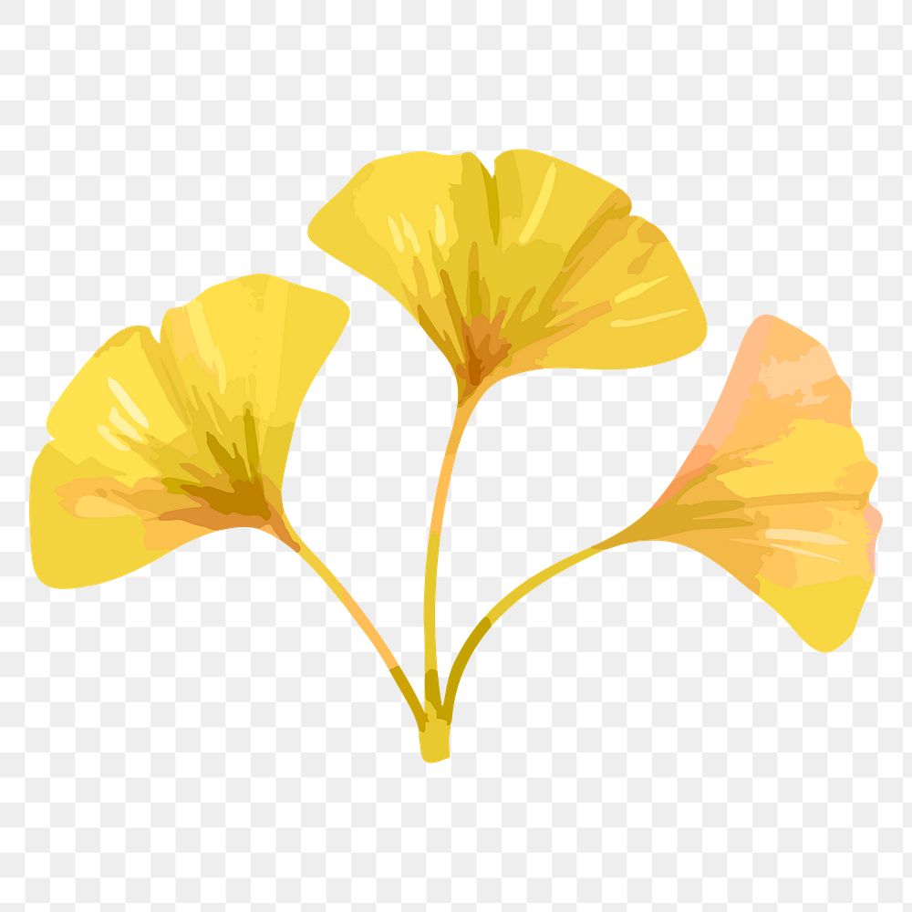 Ginkgo leaf sticker png, watercolor yellow graphic on transparent background