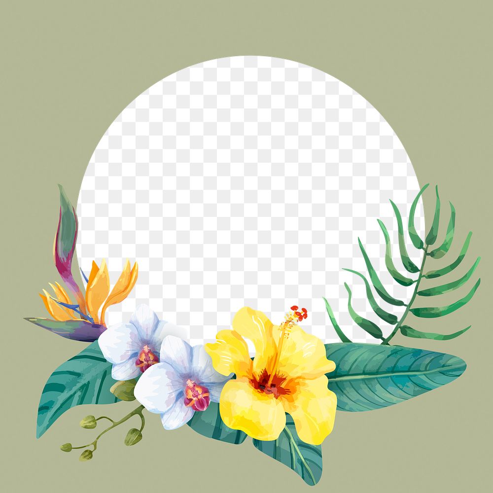 Flower frame png, botanical watercolor illustration, transparent background