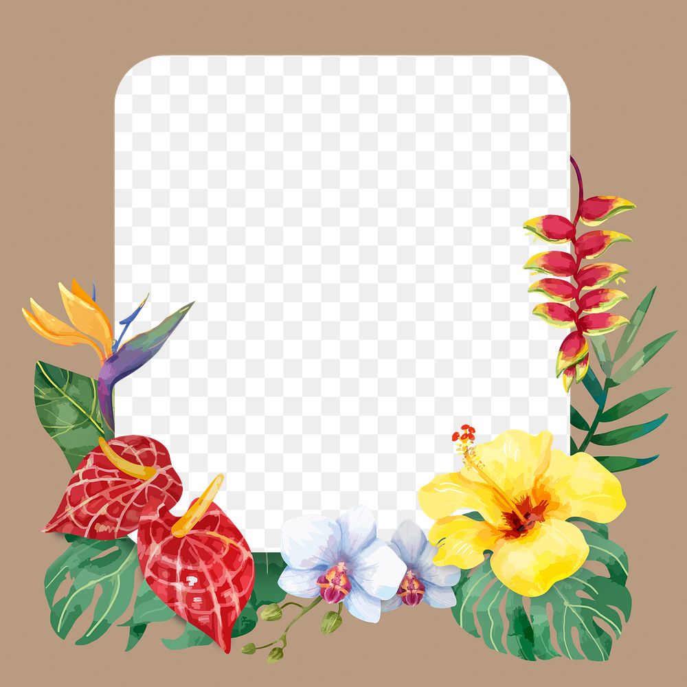 Aesthetic flower png frame, floral design on transparent background