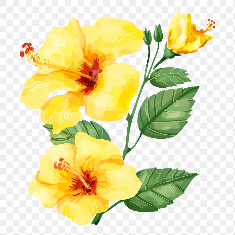 Hibiscus flower sticker png on transparent background