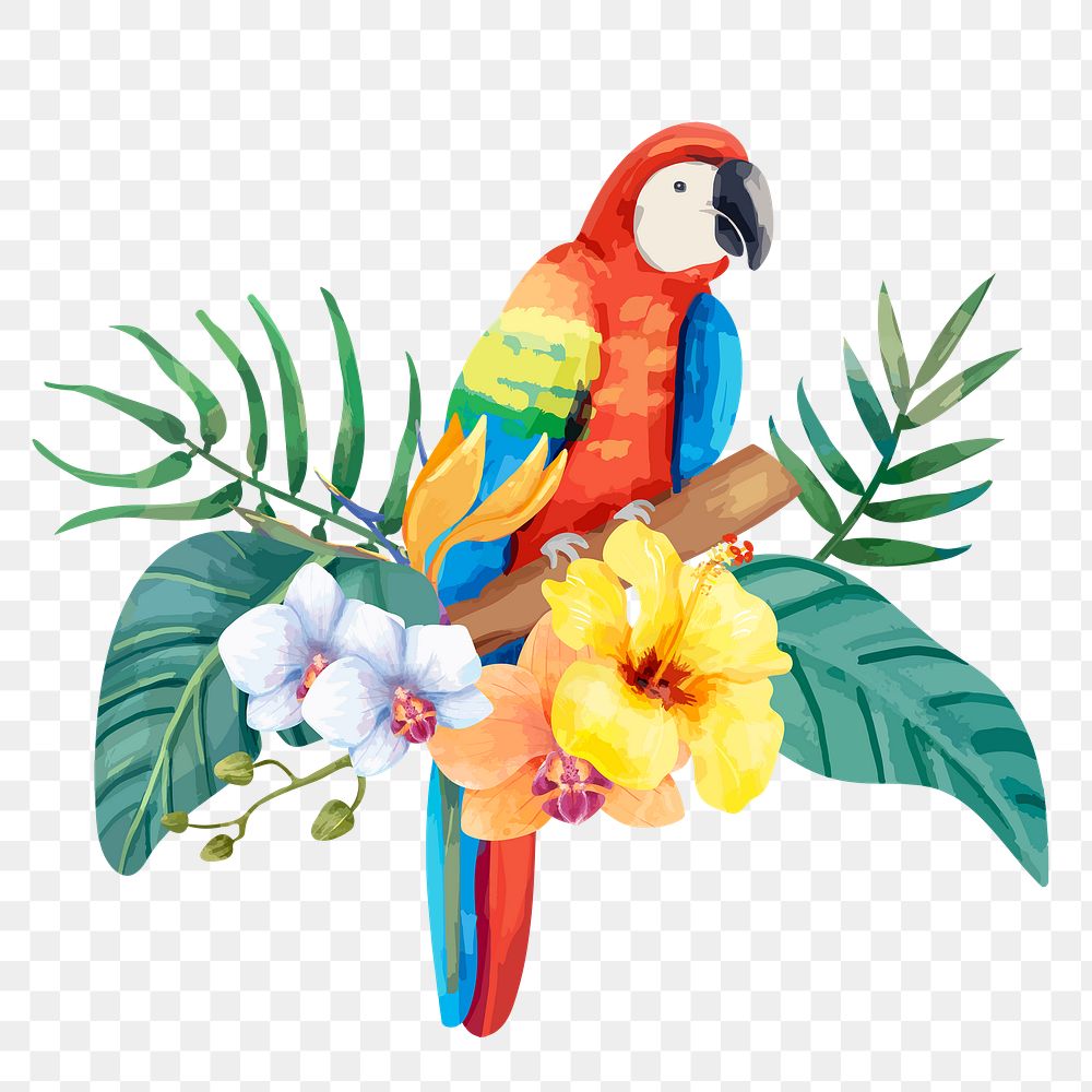 Parrot png sticker, botanical bird illustration, transparent background