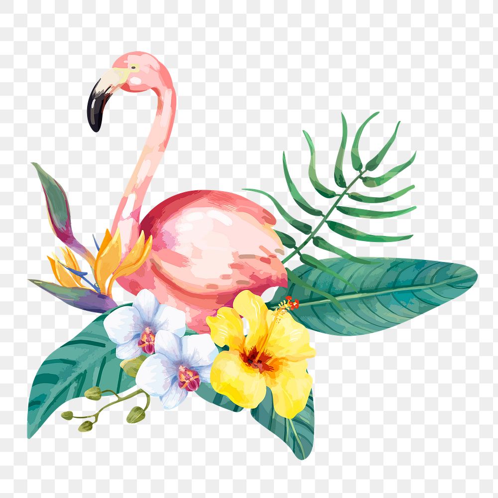 Flamingo png sticker, botanical bird illustration, transparent background