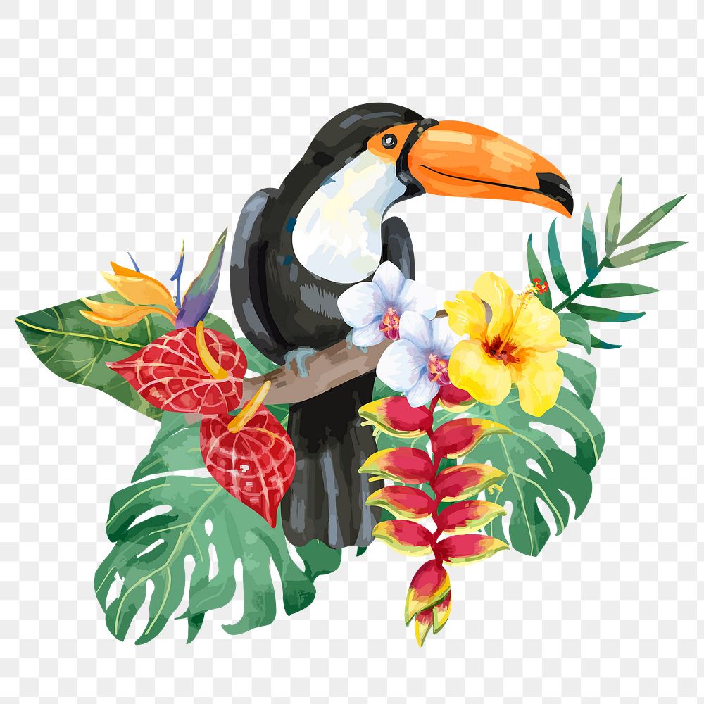 Toucan png sticker, botanical bird illustration, transparent background