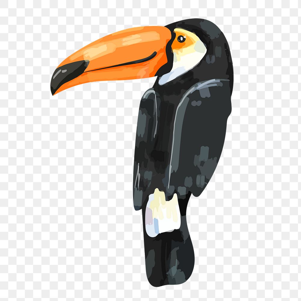 Toucan bird sticker png, watercolor animal illustration on transparent background 