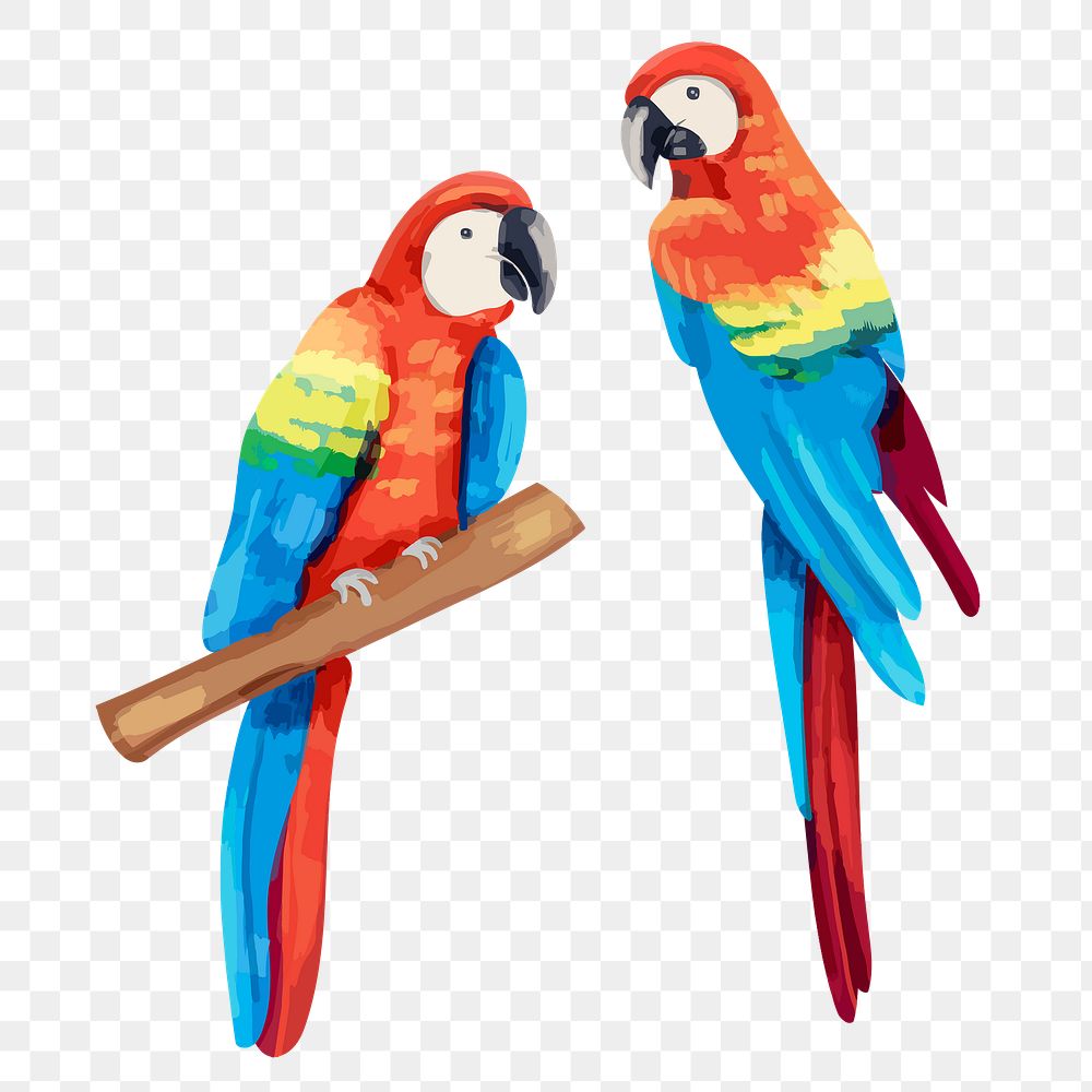 Parrot sticker png, watercolor bird illustration on transparent background 
