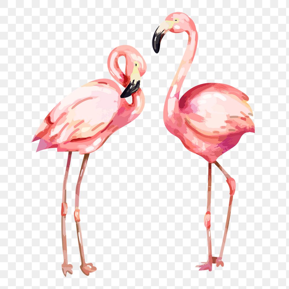 Flamingo png sticker, bird illustration, transparent background