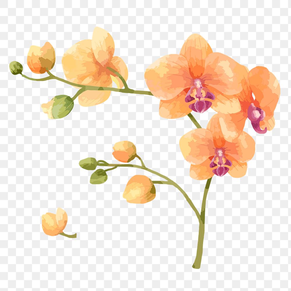 Orange flower sticker png on transparent background