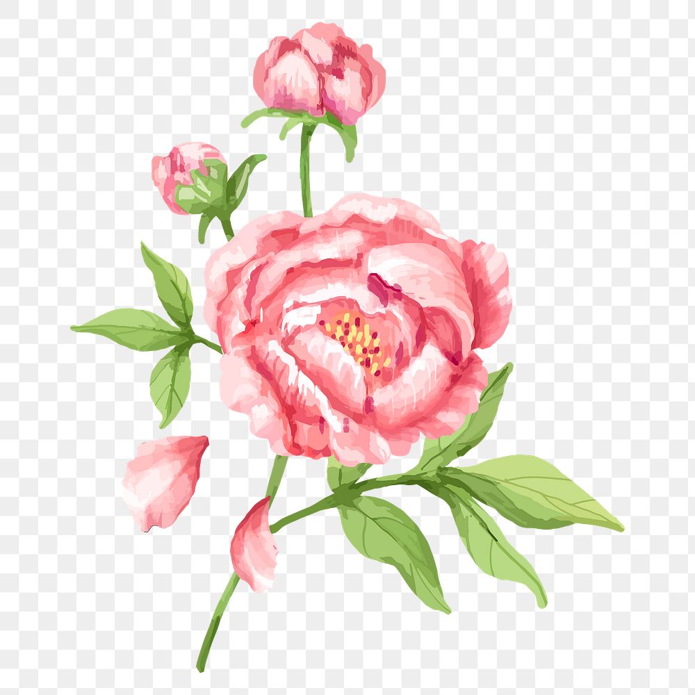 Pink flower sticker clipart, floral illustration on transparent background