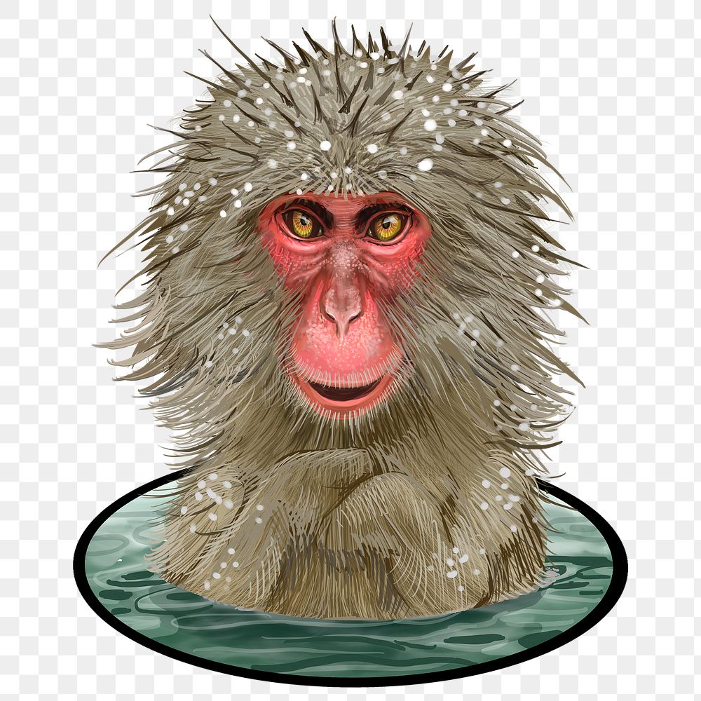 Japanese macaques png sticker, bathing Onsen illustration
