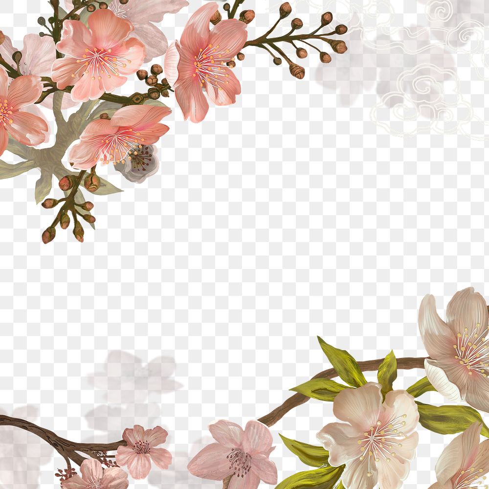 Cherry blossom png transparent background, flower border 