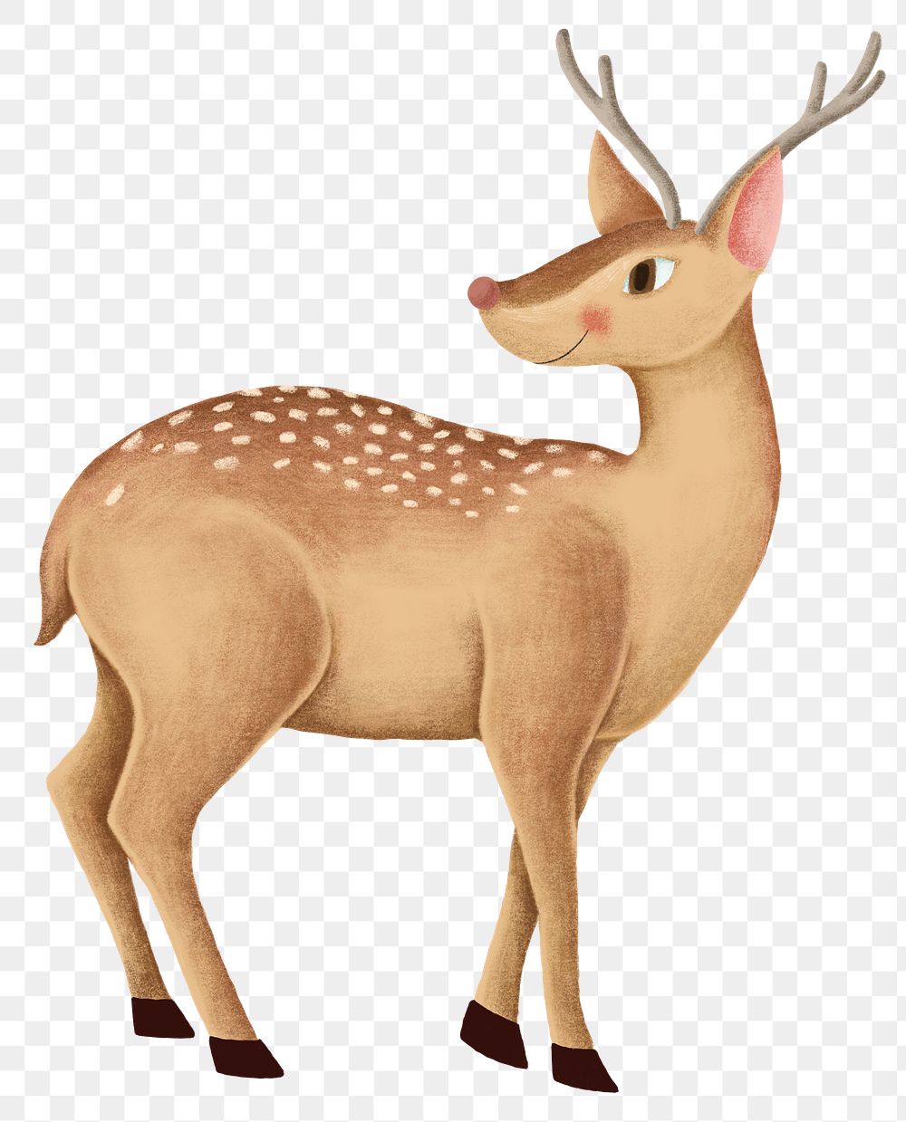 Cute fallow deer animal png sticker drawing