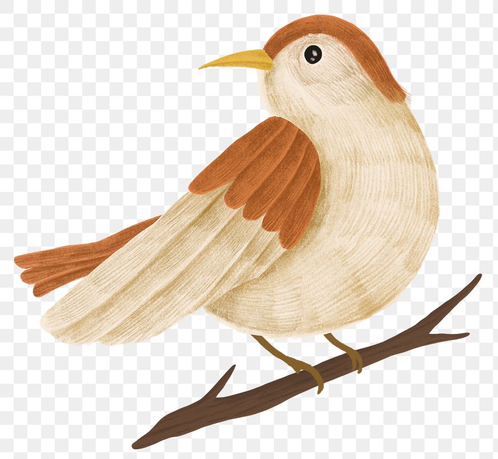 Winter brown bird animal png sticker hand drawn