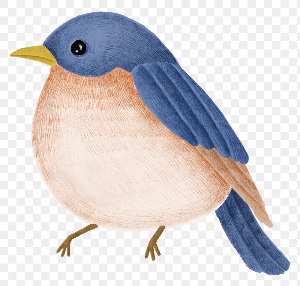 Winter blue bird animal png sticker drawing
