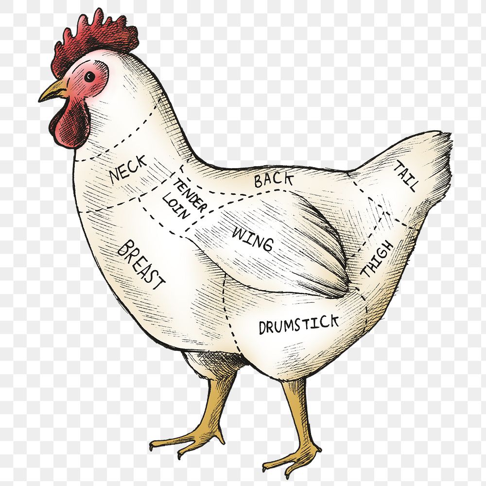 Cut of chicken png transparent background