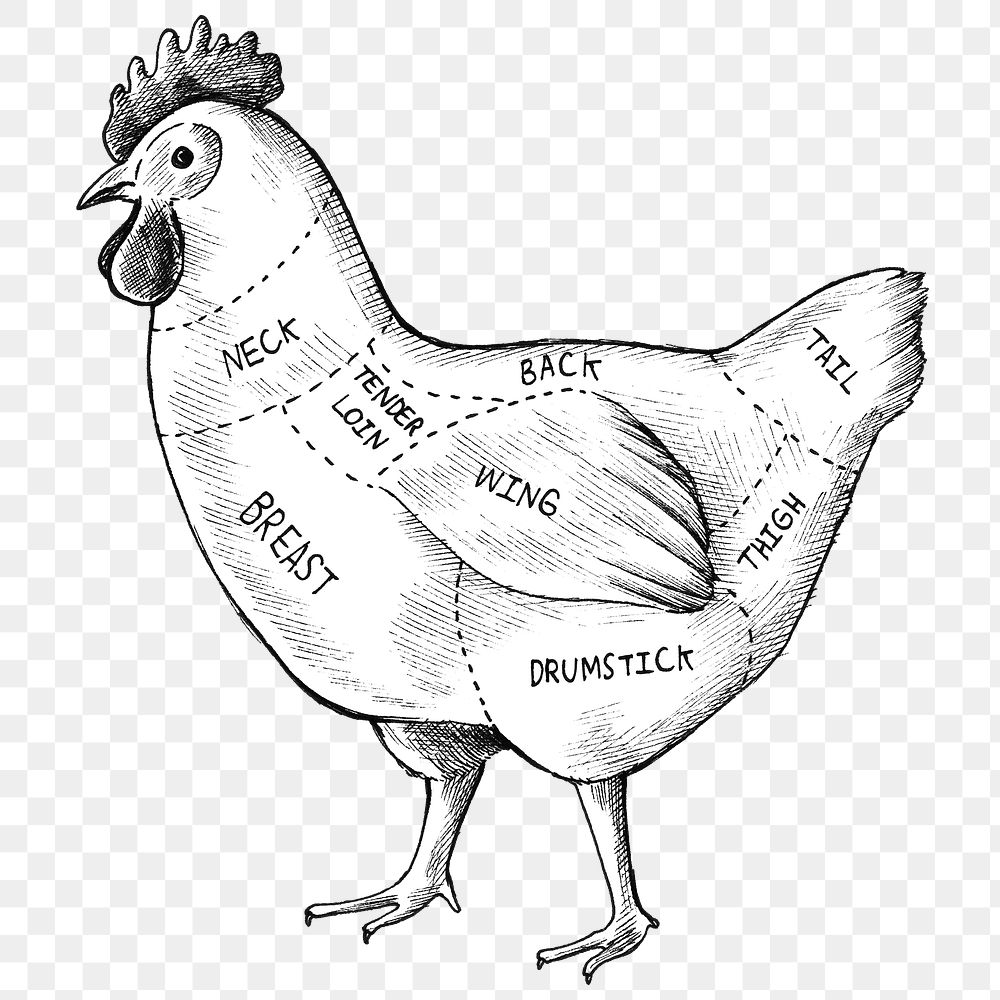 Black and white  png cut of chicken