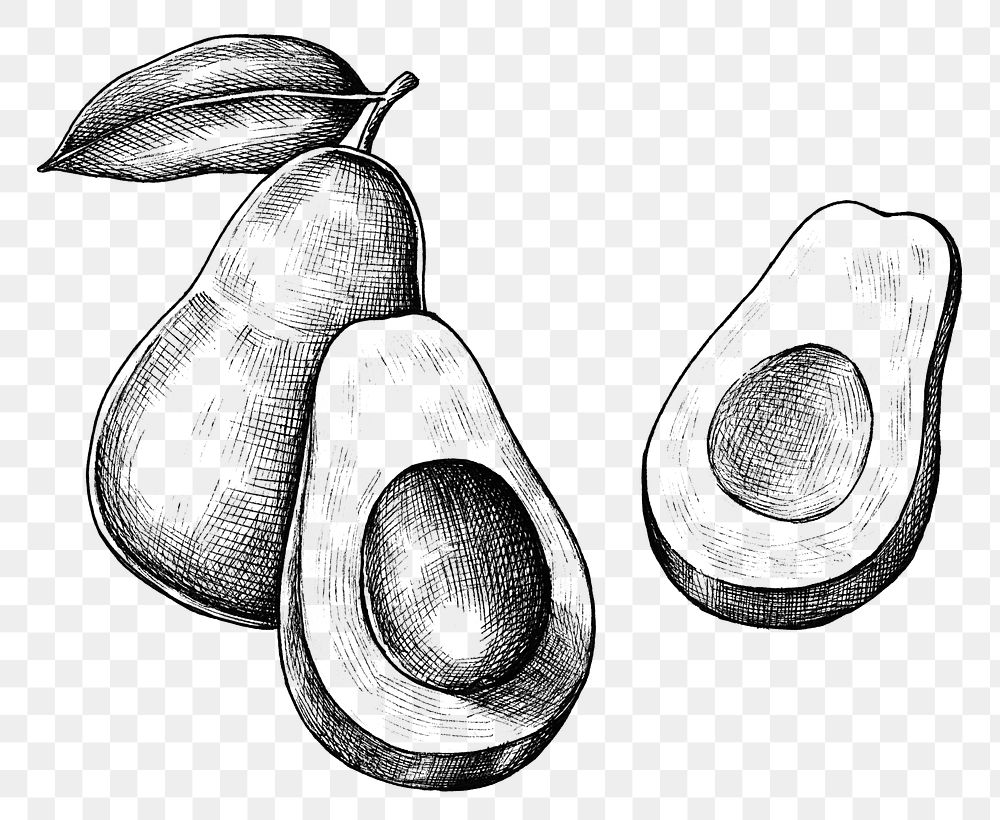 картинки авокадо карандашом