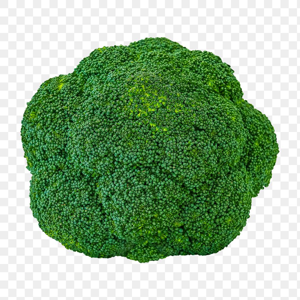 Broccoli png clipart, organic vegetable, healthy diet