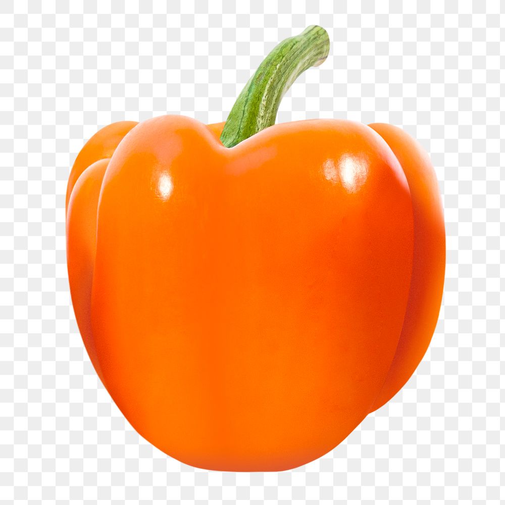 Orange capsicum png clipart, vegetable, organic ingredient psd