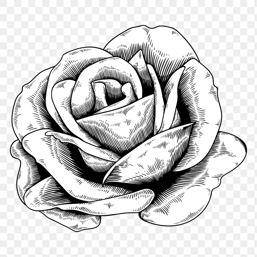 Black and white rose sticker design element