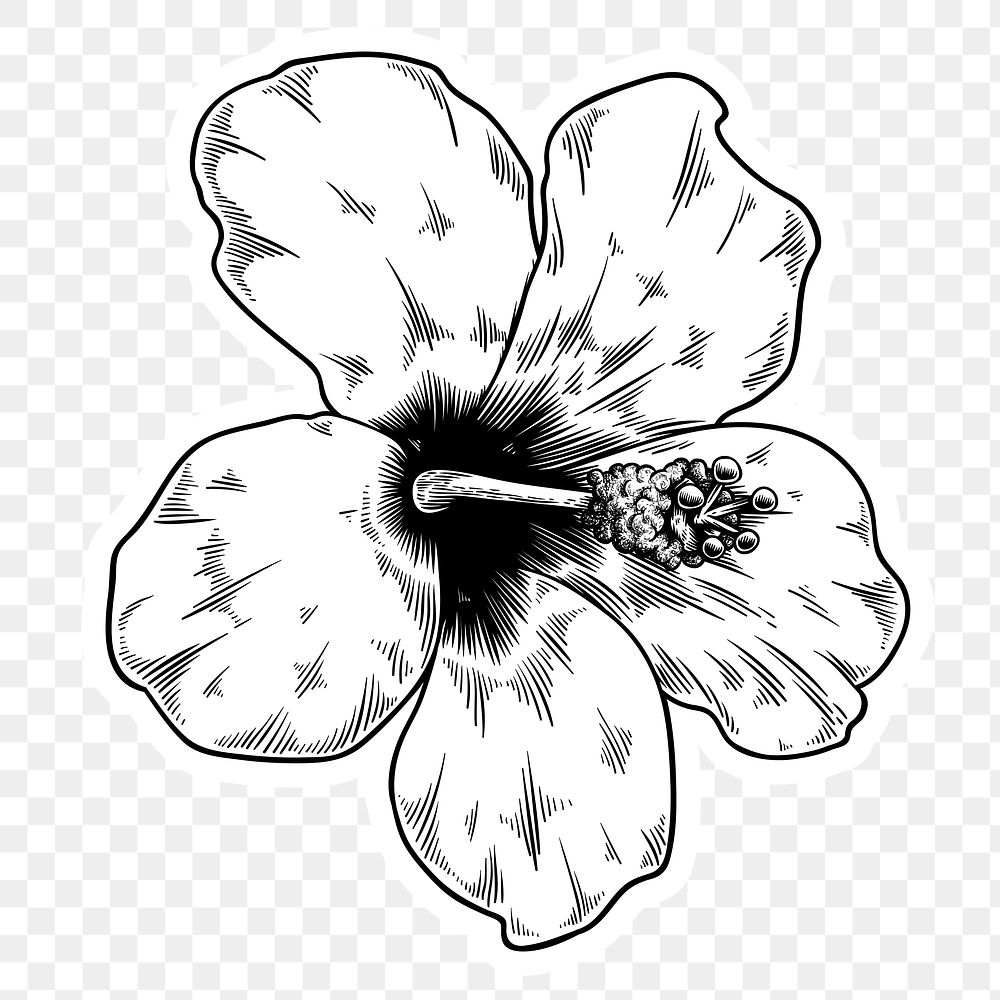 Black and white hibiscus flower sticker with a white border design element