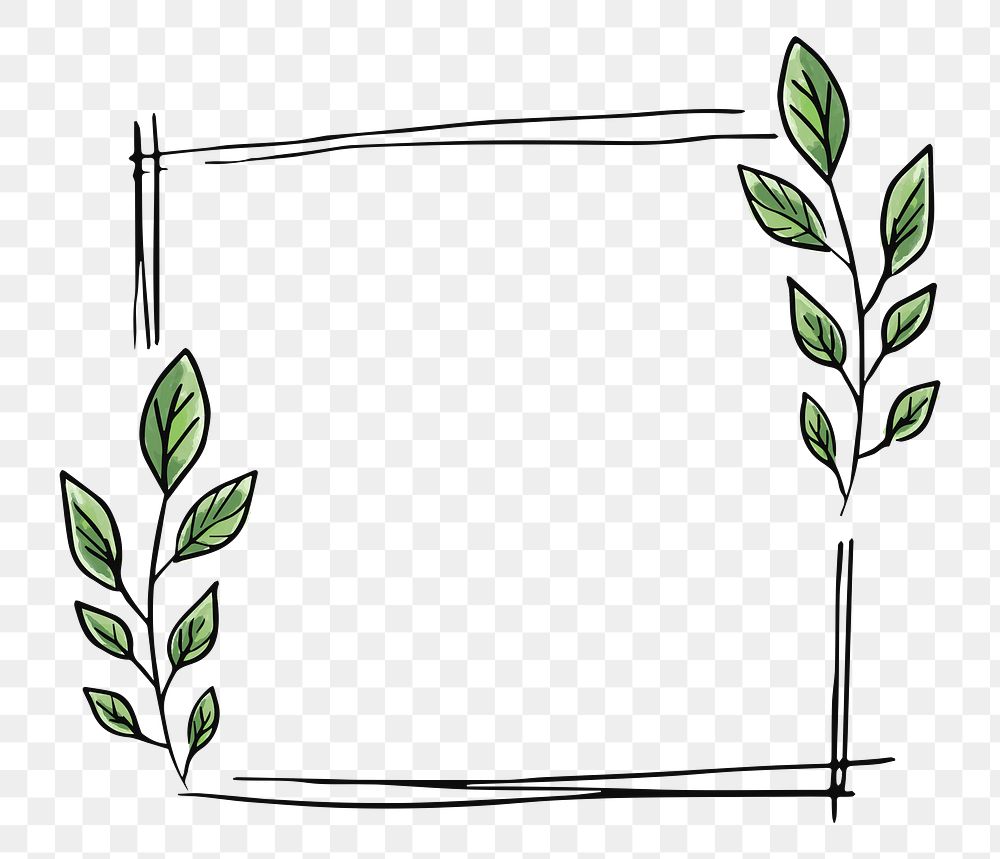 Simple doodle frame png sticker, hand drawn botanical design