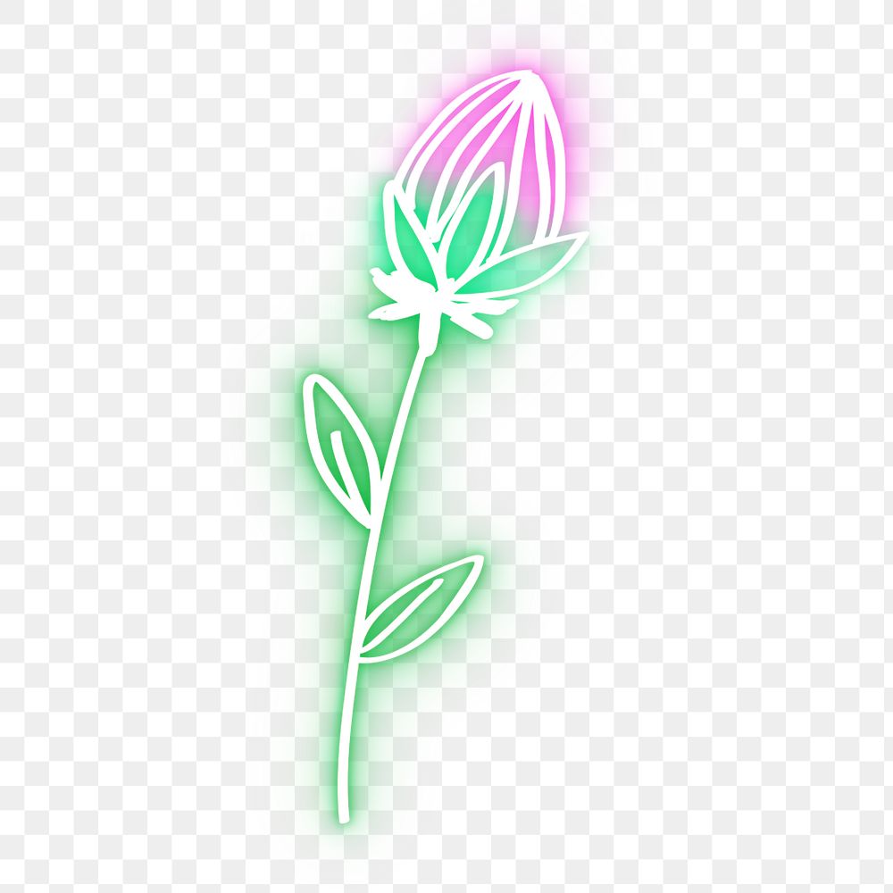 Neon pink protia flower png glowing sign