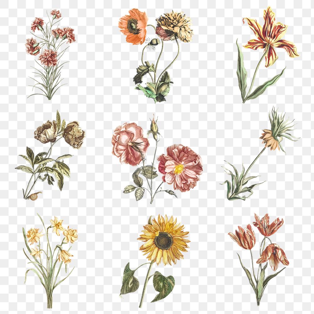 Vintage flower png sticker illustration set
