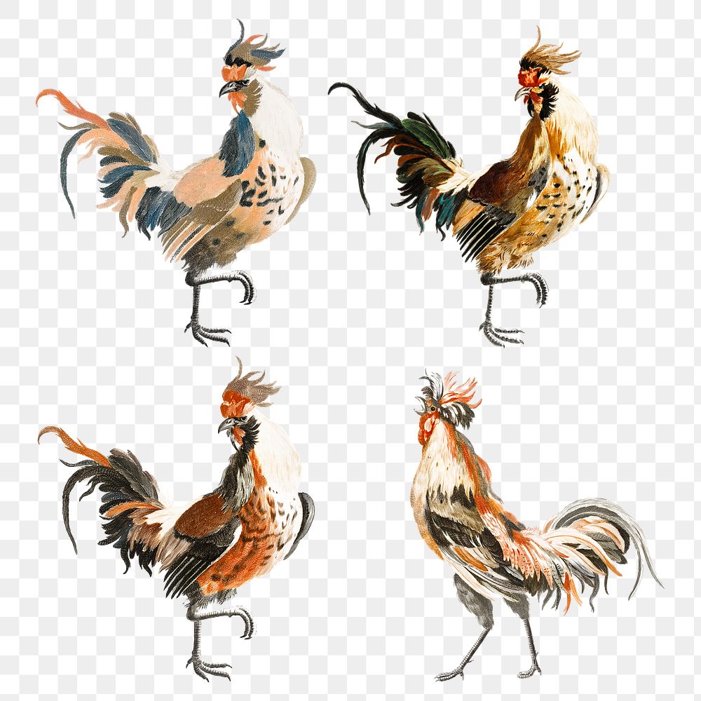 Vintage rooster png bird sticker hand drawn illustration set