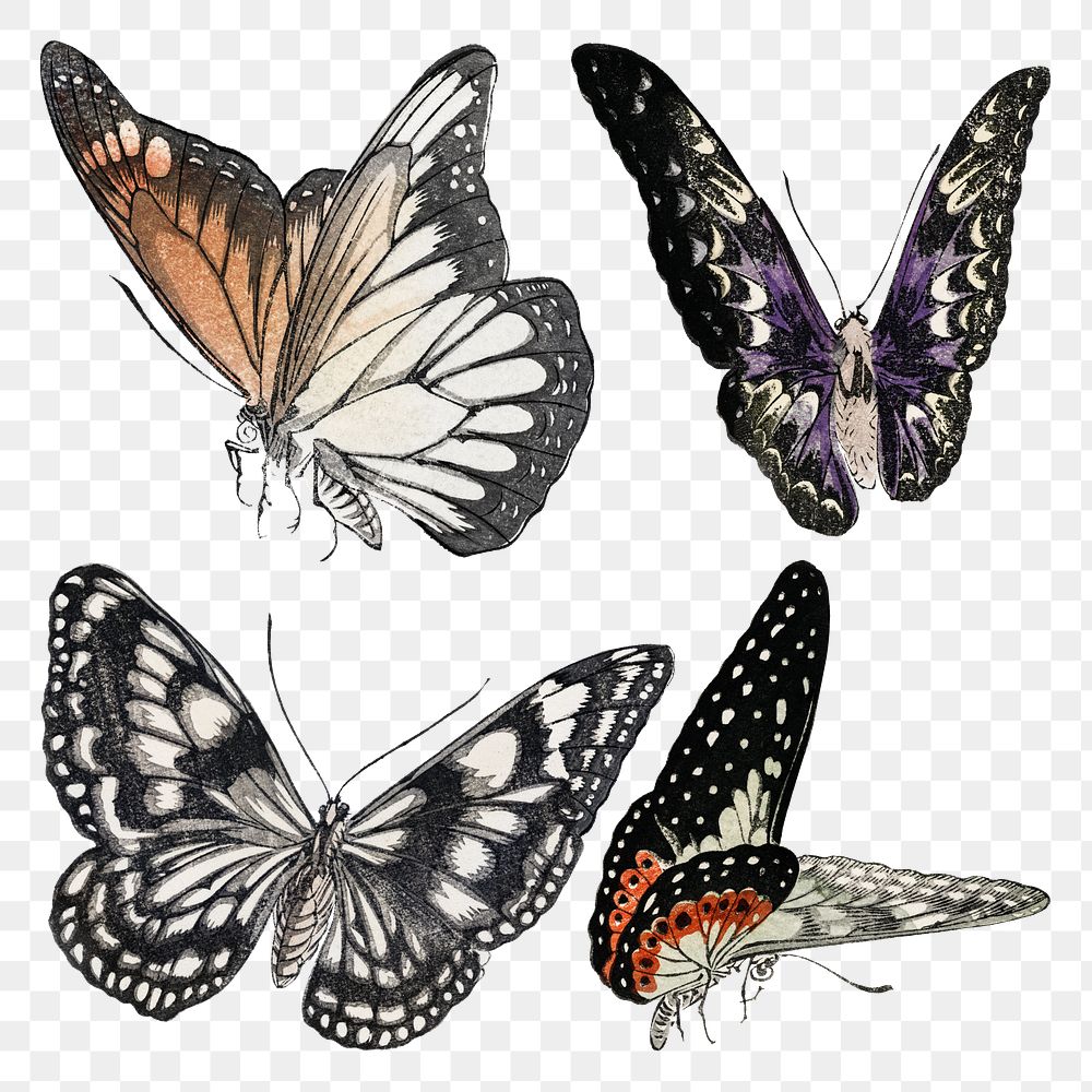 Vintage butterfly png sticker, colorful animal illustration, remix from the artwork of Louis Renard set