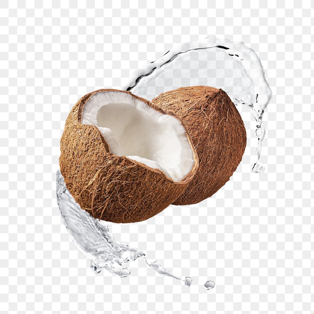 Coconut splash png clipart, fruit abstract graphic