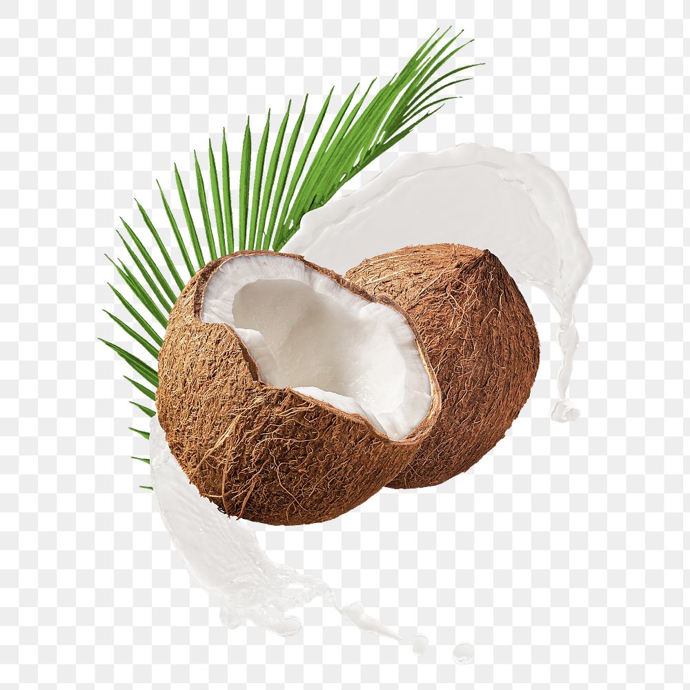 Coconut milk png splash clipart, fruit abstract graphic