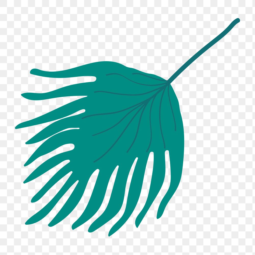 Fan palm leaf png clip art, aesthetic tropical illustration on transparent background