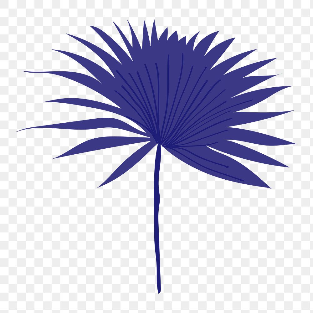 Fan palm leaf png sticker, aesthetic tropical collage element on transparent background