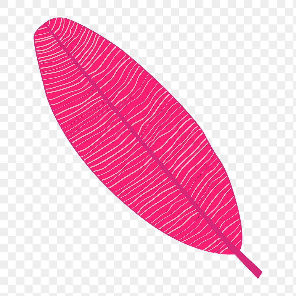 Pink banana leaf png clip art, aesthetic tropical illustration on transparent background