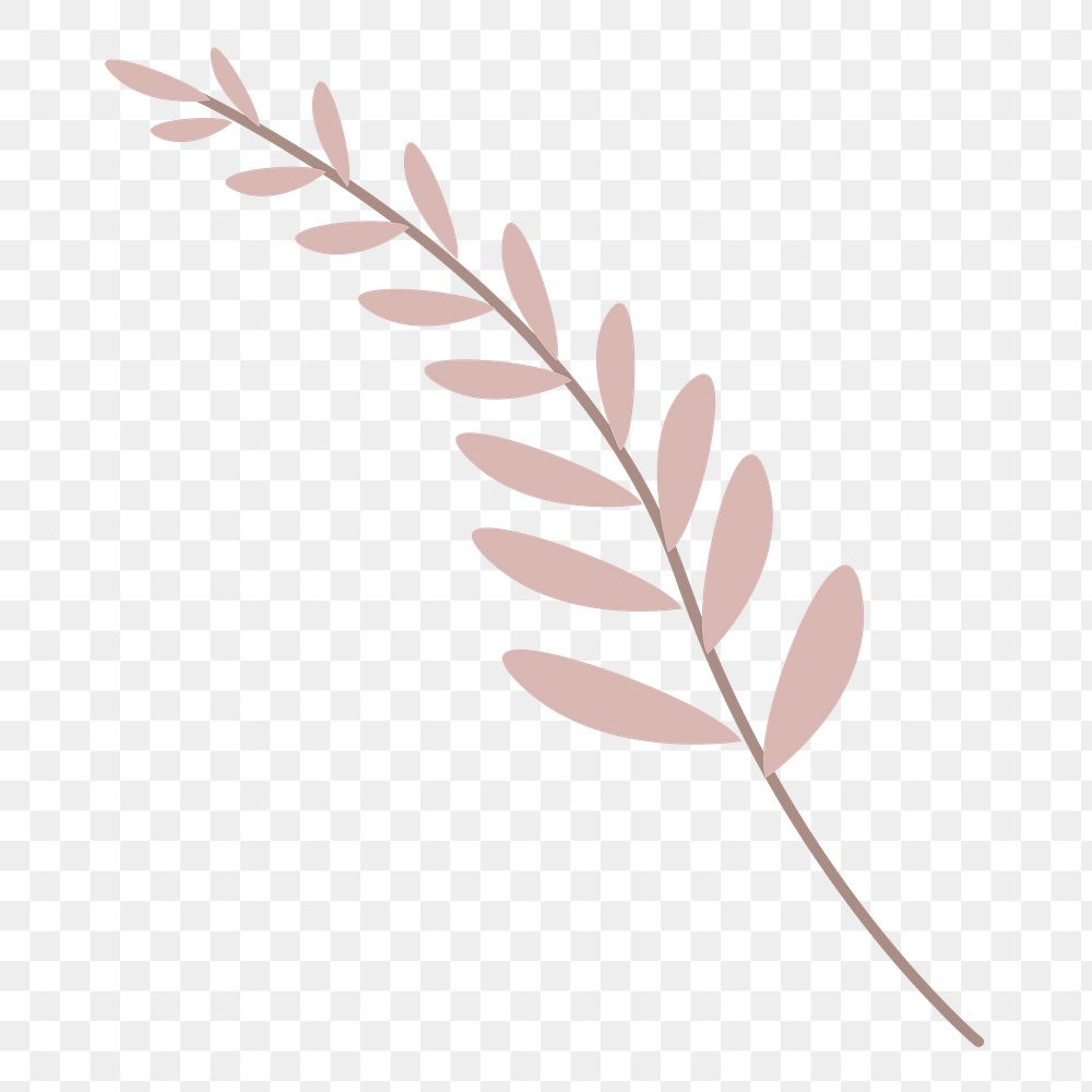 Pink acacia leaf png sticker, aesthetic tropical collage element on transparent background