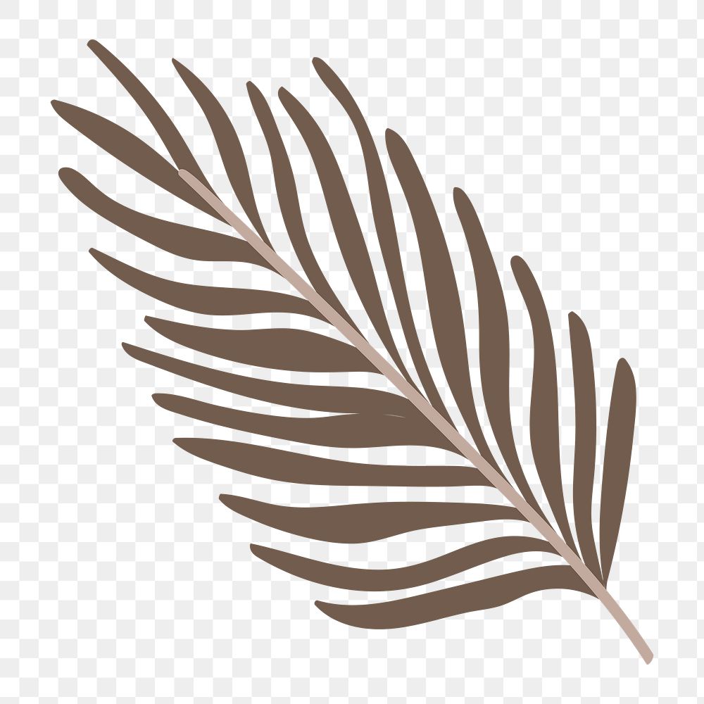 Areca palm leaf png sticker, aesthetic tropical collage element on transparent background