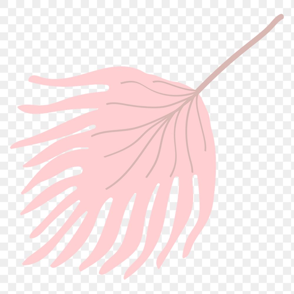 Pink fan palm png sticker, aesthetic tropical collage element on transparent background