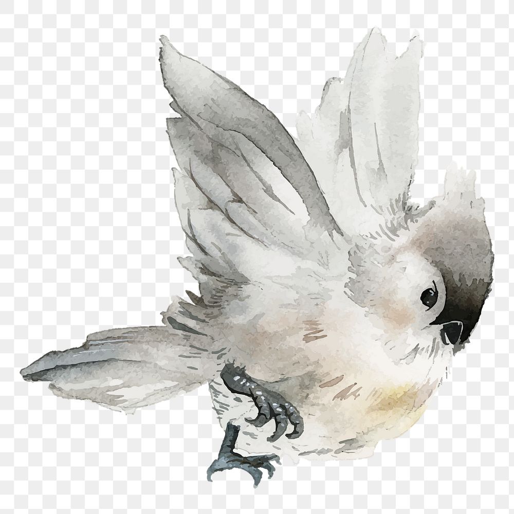 Titmouse bird png clipart, winter animal illustration on transparent background