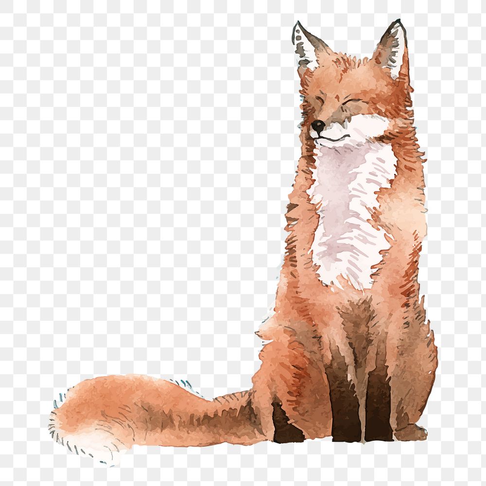 Sitting fox png clipart, watercolor animal illustration on transparent background