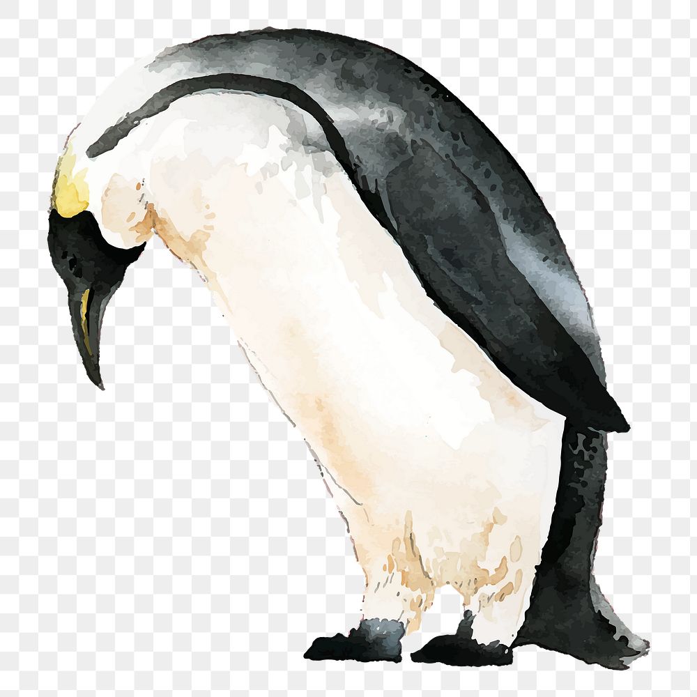 Watercolor penguin png clipart, animal illustration on transparent background