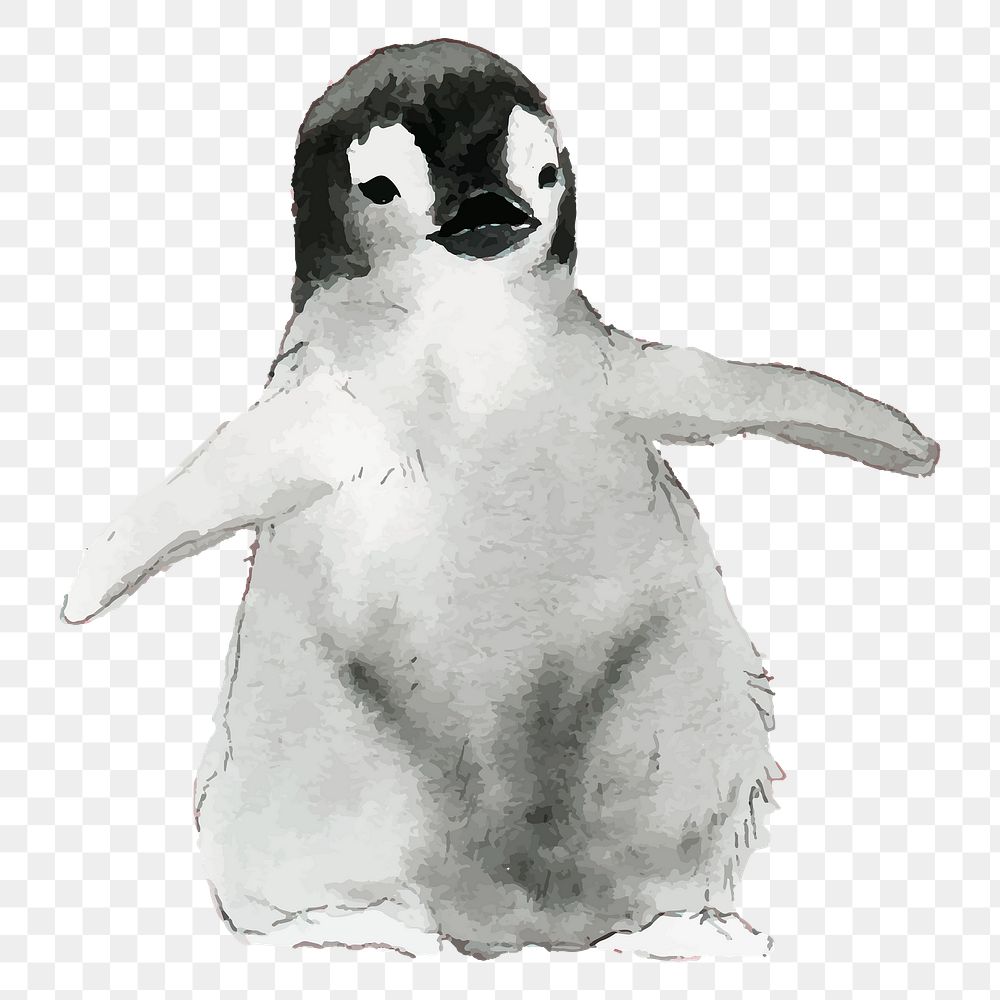 Baby penguin png clipart, watercolor animal illustration on transparent background