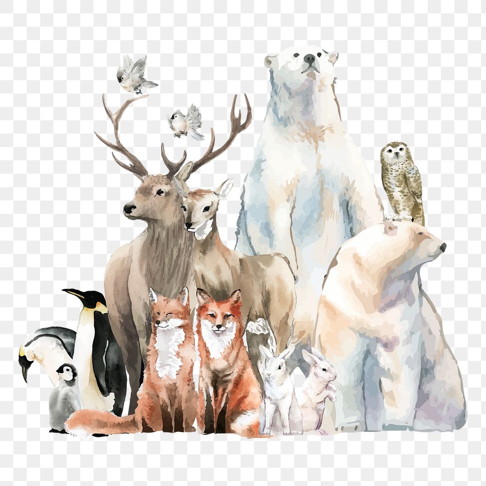 Watercolor animal png sticker, winter wildlife illustration set on transparent background